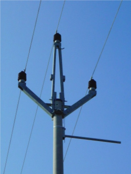 Форма траверсы не позволяет птицам садиться близко от проводов, и в то же время на ней есть безопасное место для присады. Фото AOPK ČR