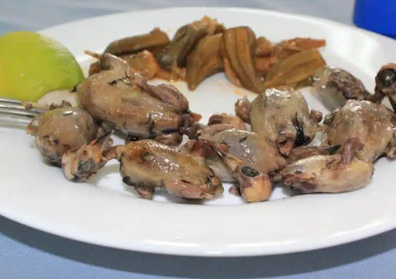 Традиционное кипрское блюдо из певчих птиц. © BirdLife Cyprus