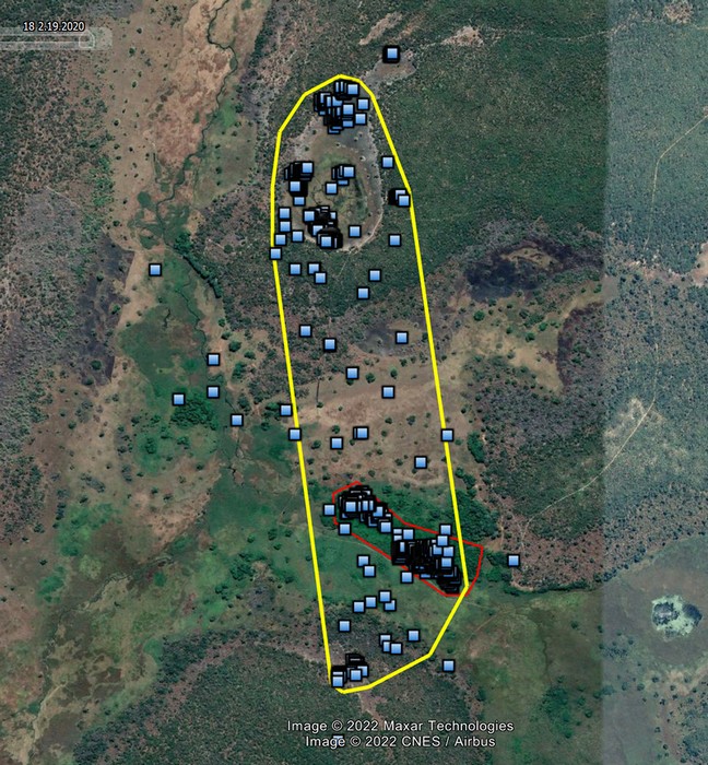 Зімовачны арэал самкі Ляды ў Замбіі складае каля 3 кв. км (жоўтая лінія). Чырвоная лінія акрэслівае “крыланавы” лес. Блакітныя кропкі паказваюць геалакацыю Ляды на працягу зімоўкі (кастрычнік-cнежань).