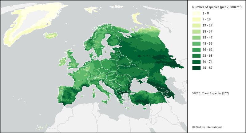 Распределение и количество видов SPEC в Европе, полученные путем наложения карт ареалов видов BirdLife